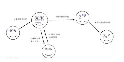 計(jì)算機(jī)網(wǎng)絡(luò)的學(xué)習(xí)與開發(fā) 從理論到實(shí)踐的全面指南