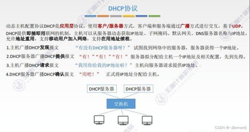 王道考研計(jì)算機(jī)網(wǎng)絡(luò)第四章知識點(diǎn)匯總 計(jì)算機(jī)網(wǎng)絡(luò)技術(shù)的開發(fā)